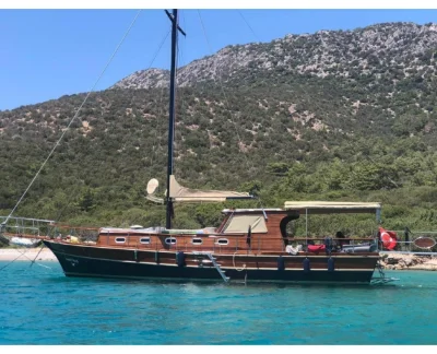  Mavi Kuş