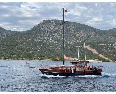  Mavi Kuş