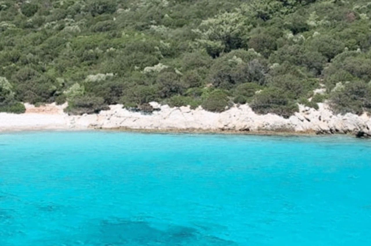  Poyraz Bay